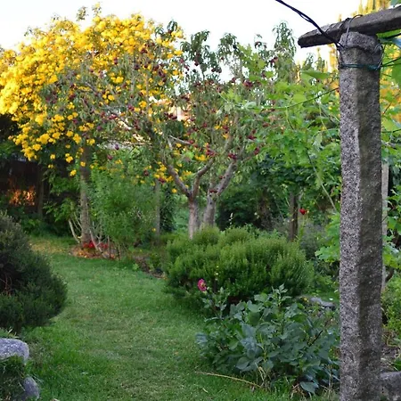 Tatil Evi Casa Do Mestrinho *