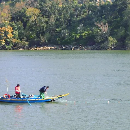 Casa de Férias Casa Do Mestrinho Avintes