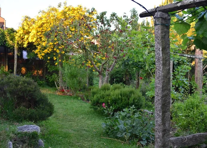 Сasa de vacaciones Casa Do Mestrinho *