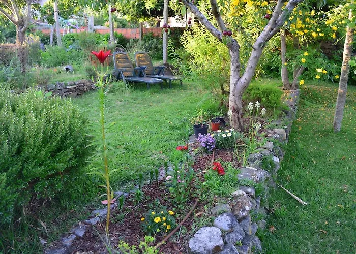 Casa Do Mestrinho Avintes