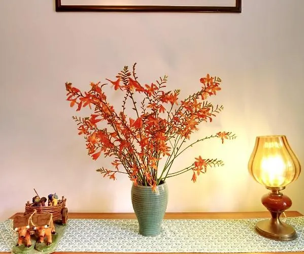 Сasa de vacaciones Casa Do Mestrinho